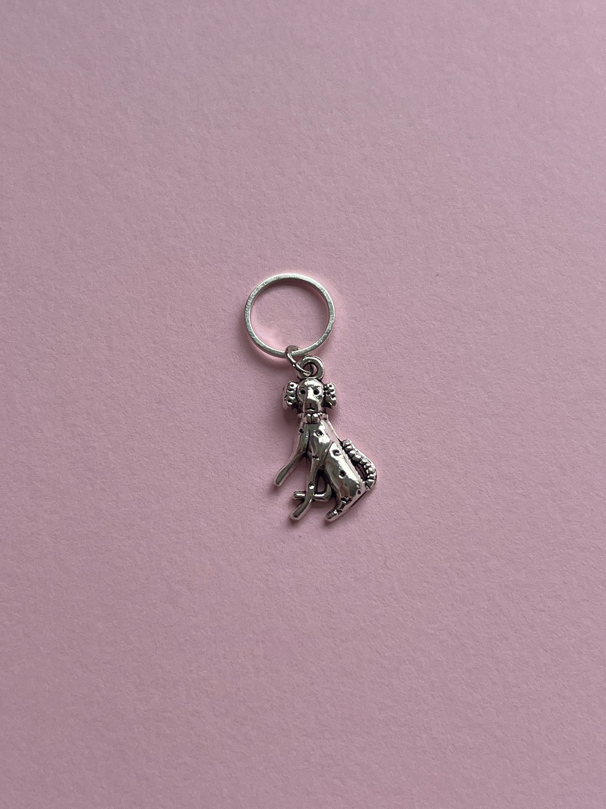 Silver Dog