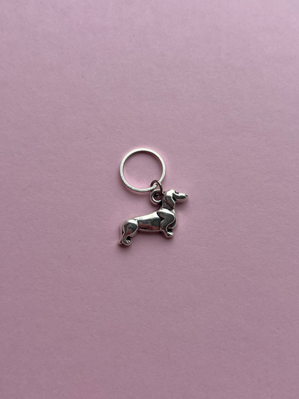 Silver Sausage Dog