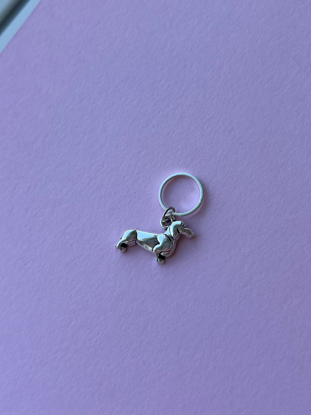 Silver Sausage Dog
