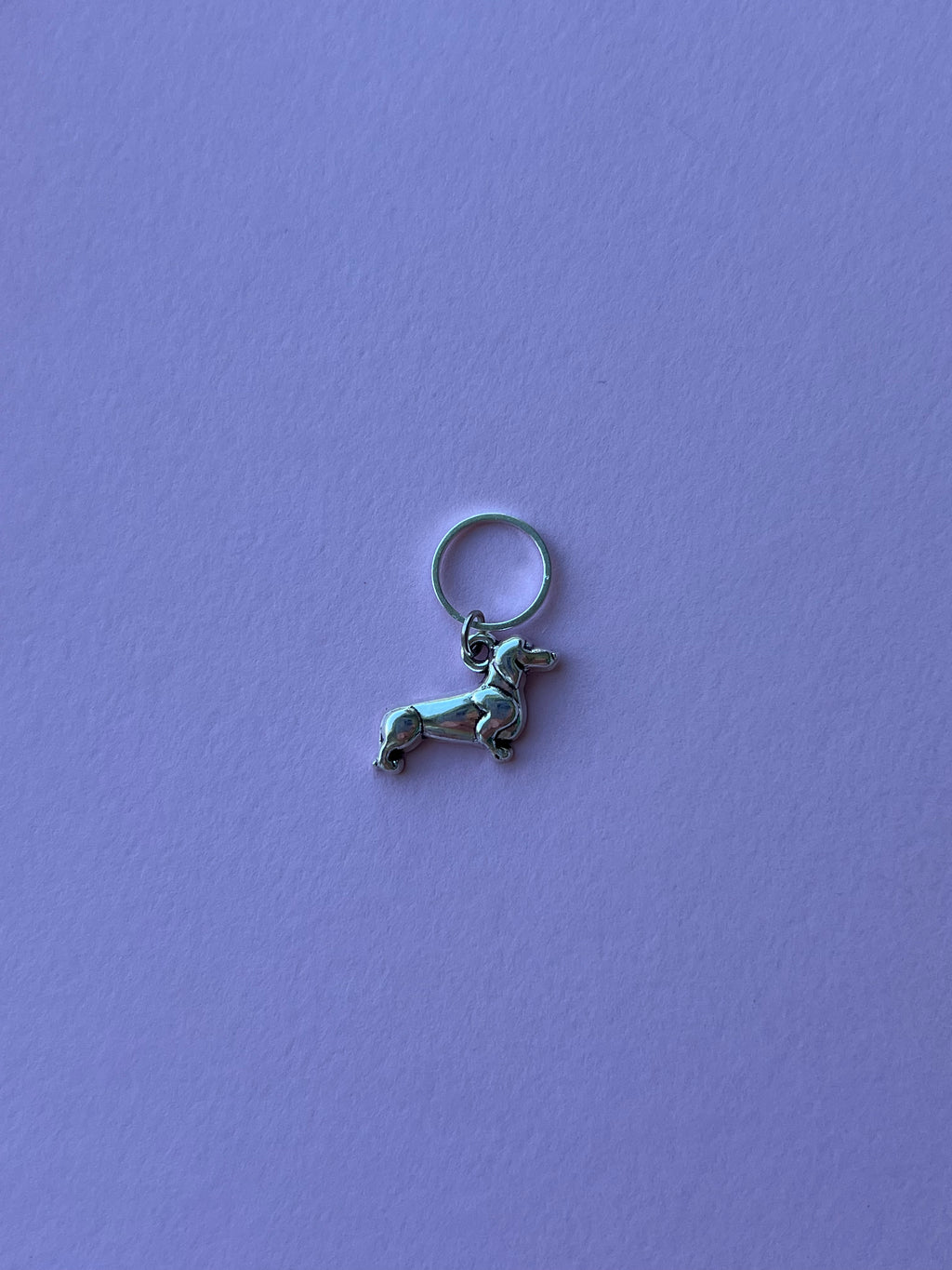 Silver Sausage Dog