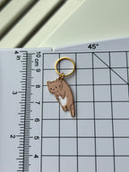 Hanging Cat
