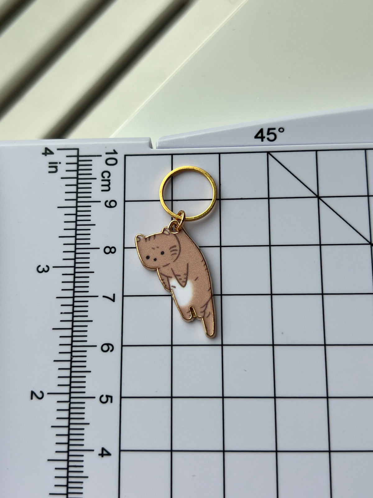 Hanging Cat